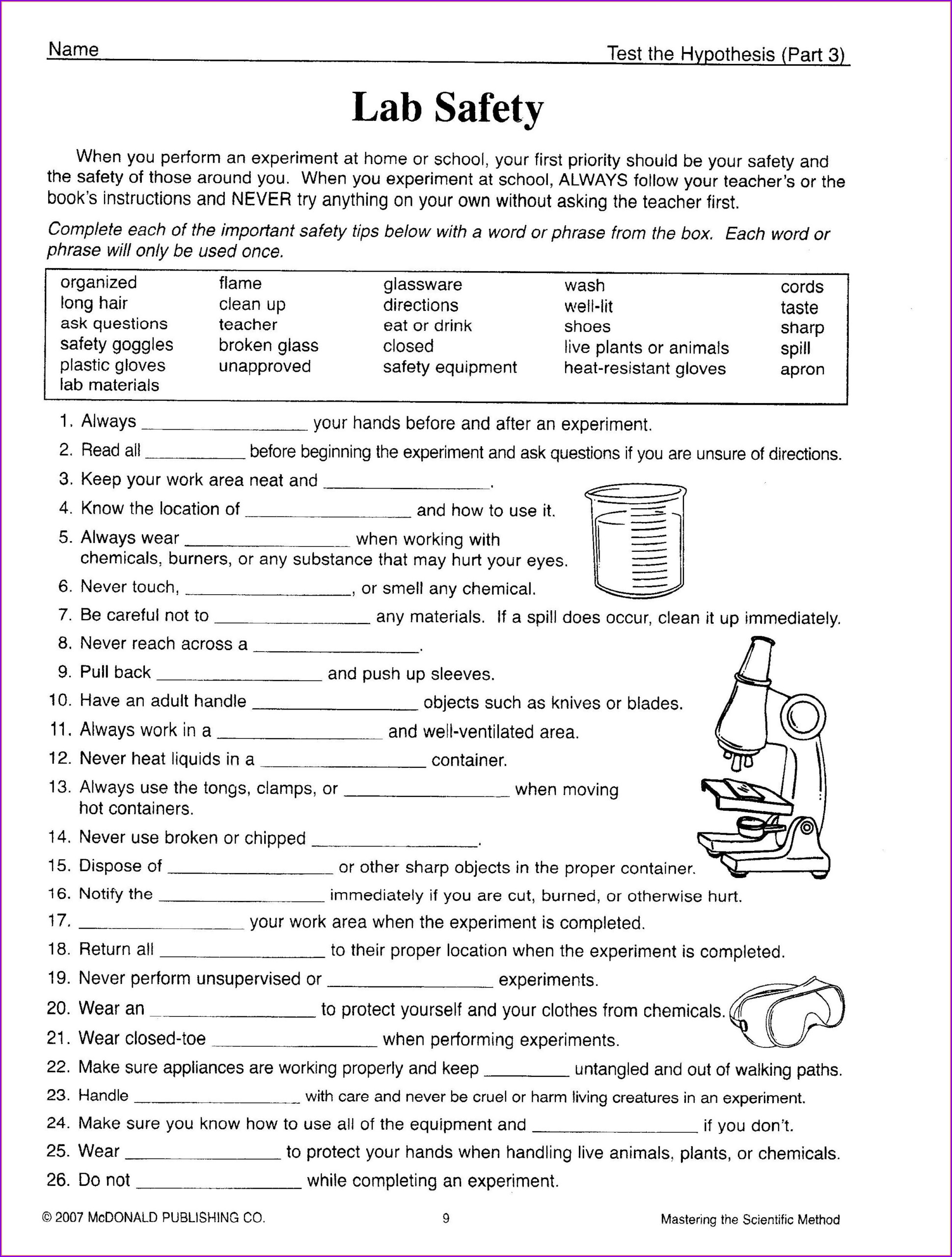 7th Grade Science Photosynthesis Worksheet Answer Key Worksheet