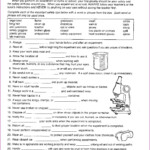 7th Grade Science Photosynthesis Worksheet Answer Key Worksheet