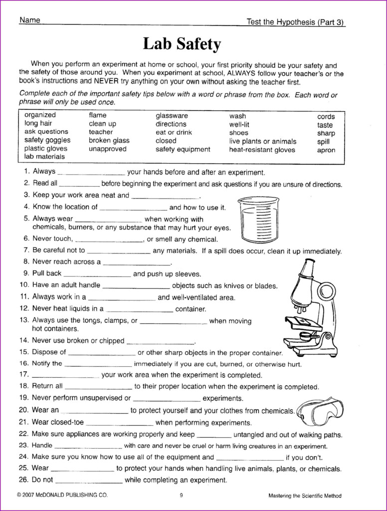 7th Grade Science Photosynthesis Worksheet Answer Key Worksheet 