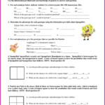 7th Grade Science Punnett Square Worksheet Worksheet Resume Examples