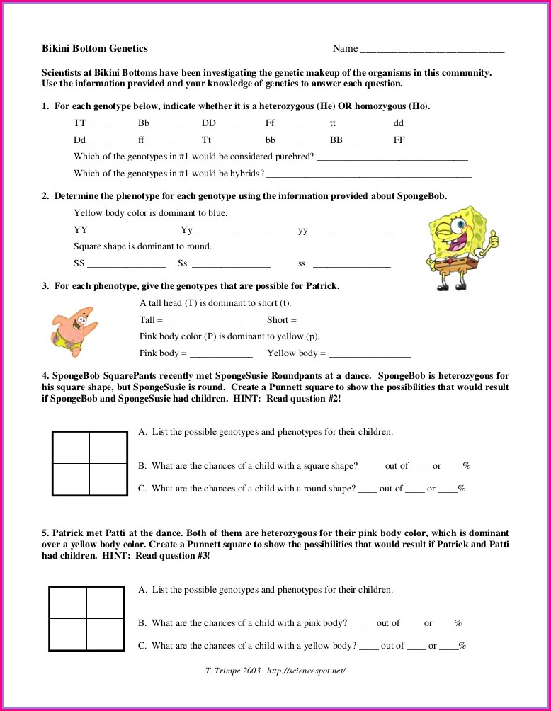 7th Grade Science Punnett Square Worksheet Worksheet Resume Examples