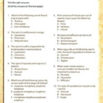 7th Grade Science Worksheets Printable Worksheets Are Definitely The