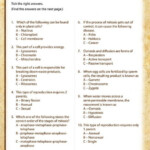 7th Grade Science Worksheets With Questions