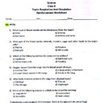 7th Grade Worksheets All Subjects Worksheets Master