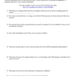 8 Mutation The Science Of Survival Worksheet Answers Science With