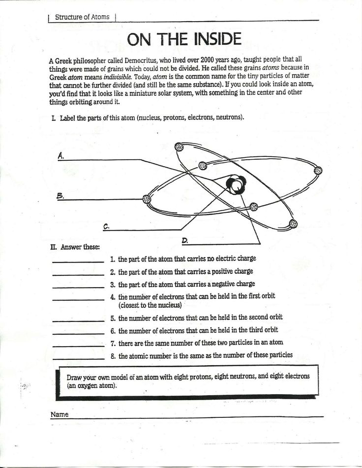 9 On The Inside Science Worksheet Answers Science Science 