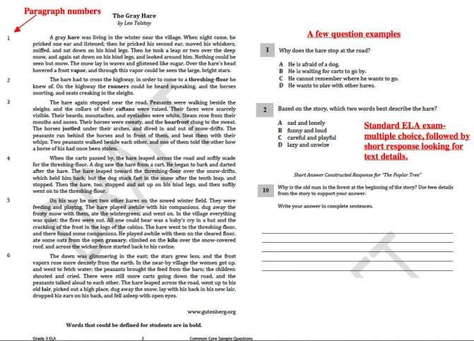 9 Pearson Education Science Worksheet Answers Envision Math