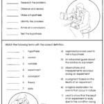 9th Grade Scientific Method Worksheet High School Worksheet Resume