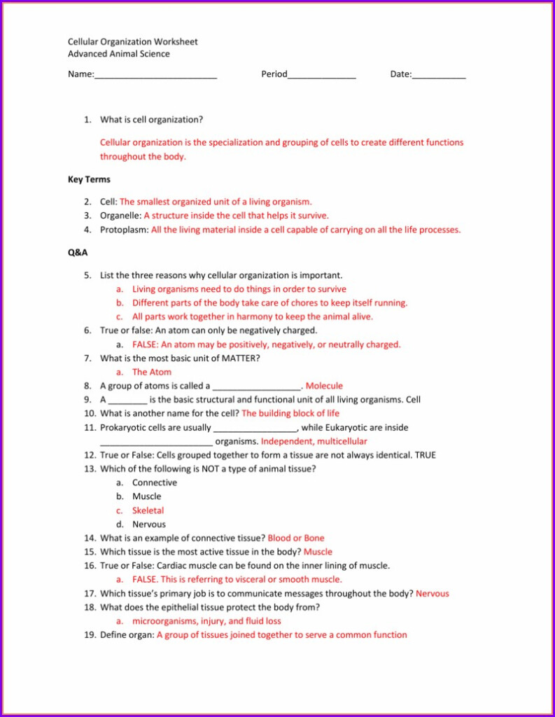 Adventures In Science Worksheet Answer Key Worksheet Resume Examples