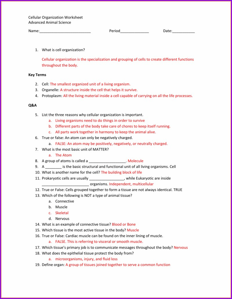 2022 Adventures In Science Worksheet Answer Key - Scienceworksheets.net