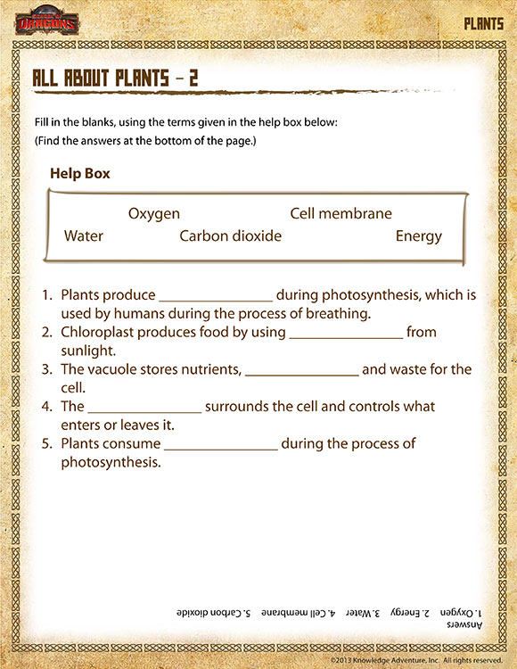 All About Plants 2 View Printable Science Worksheet For 5th Grade ...