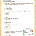 All About Water Cycles View Printable 4th Grade Science Worksheet