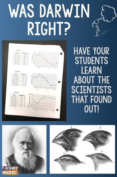 Analyzing Darwin s Finches Evolution Graphing Activity Biology