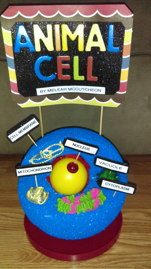 Animal Cell With 5 Organelles 5th Grade Project Animal Cell Project 