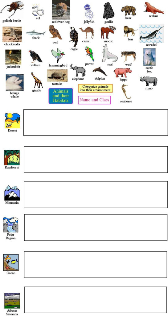 Animal Classification Homeschool Science Teaching Science Animal 