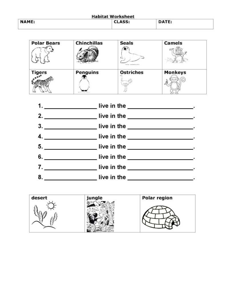 Animal Habitat Worksheets For Kindergarten Habitats Worksheet Science 