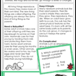 Animal Reproduction Worksheets 4th Grade SHOTWERK