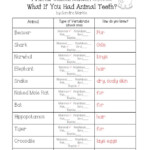 Animal Worksheet NEW 424 ANIMAL ADAPTATIONS WORKSHEET MIDDLE SCHOOL