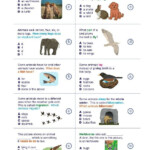 Animals Science Worksheets And Study Guides Second Grade Science