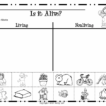 Around The House Living Or Non Living Worksheets 99Worksheets