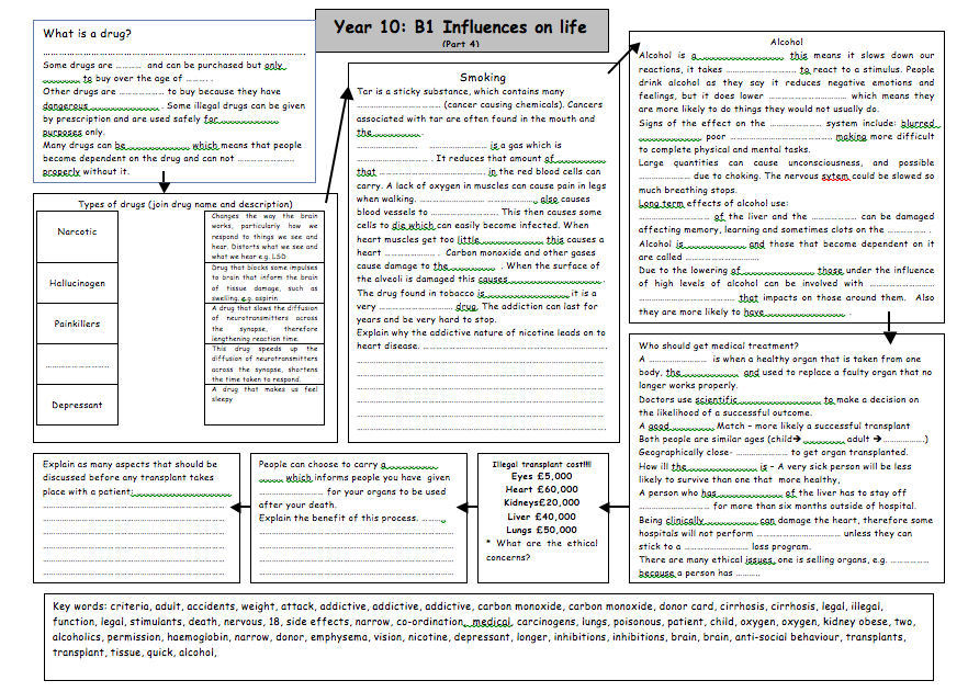 B1 Revision Influences On Life Part 4 Teaching Resources