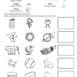 Beginning Science Unit About Your Five Senses Science Worksheets 5