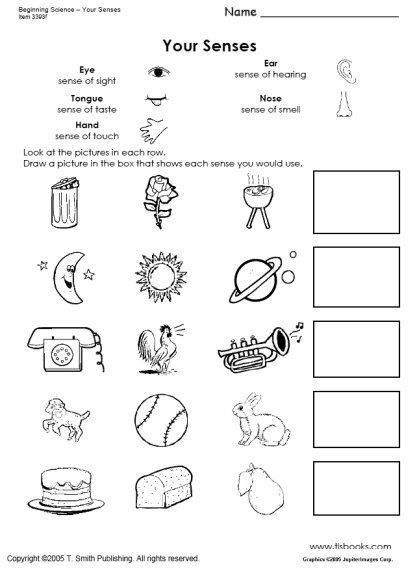Beginning Science Unit About Your Five Senses Science Worksheets 5 