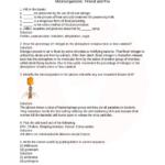 Best Science Worksheets For Grade 8 Cbse With Answers Literacy Worksheets