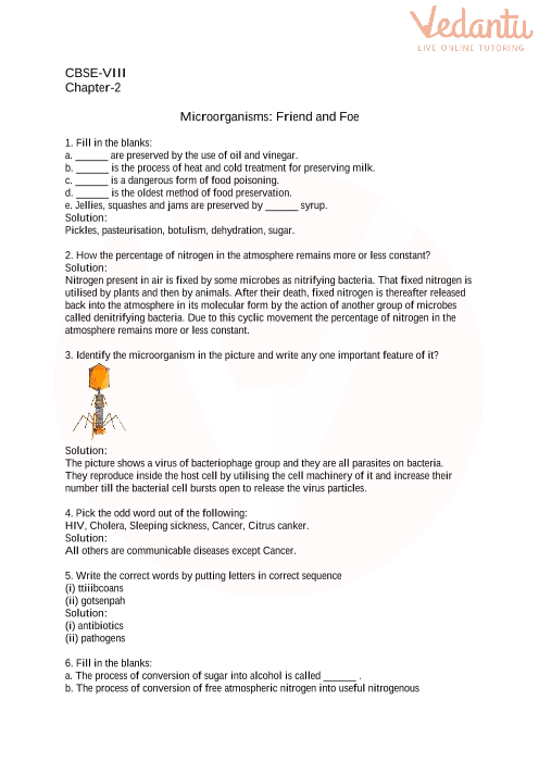 Best Science Worksheets For Grade 8 Cbse With Answers Literacy Worksheets