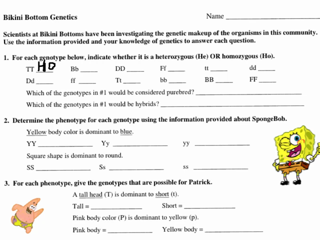 Bikini Bottom Genetics Worksheet Biology Worksheet Persuasive 