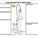 BILINGUAL AL YUSSANA THE SCIENTIFIC METHOD