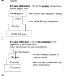 Bill Nye Food Web Video Worksheet Answers Free Arabic Icons Apk Db