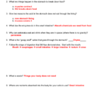 Bill Nye Nutrition Quiz Worksheet Answers Propranolols