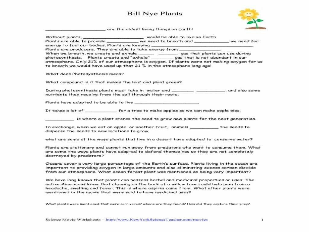 Bill Nye Plants Worksheet Answer Key Db excel