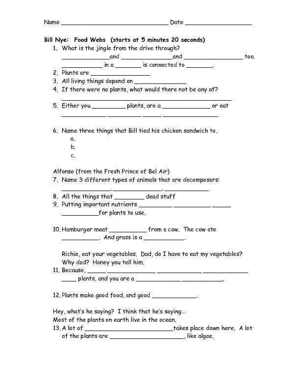 Bill Nye The Science Guy Food Web Worksheet Answers Scienceworksheets