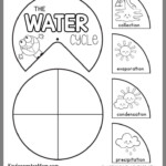 Bill Nye Water Cycle Worksheet In 2020 Water Cycle Science Lessons