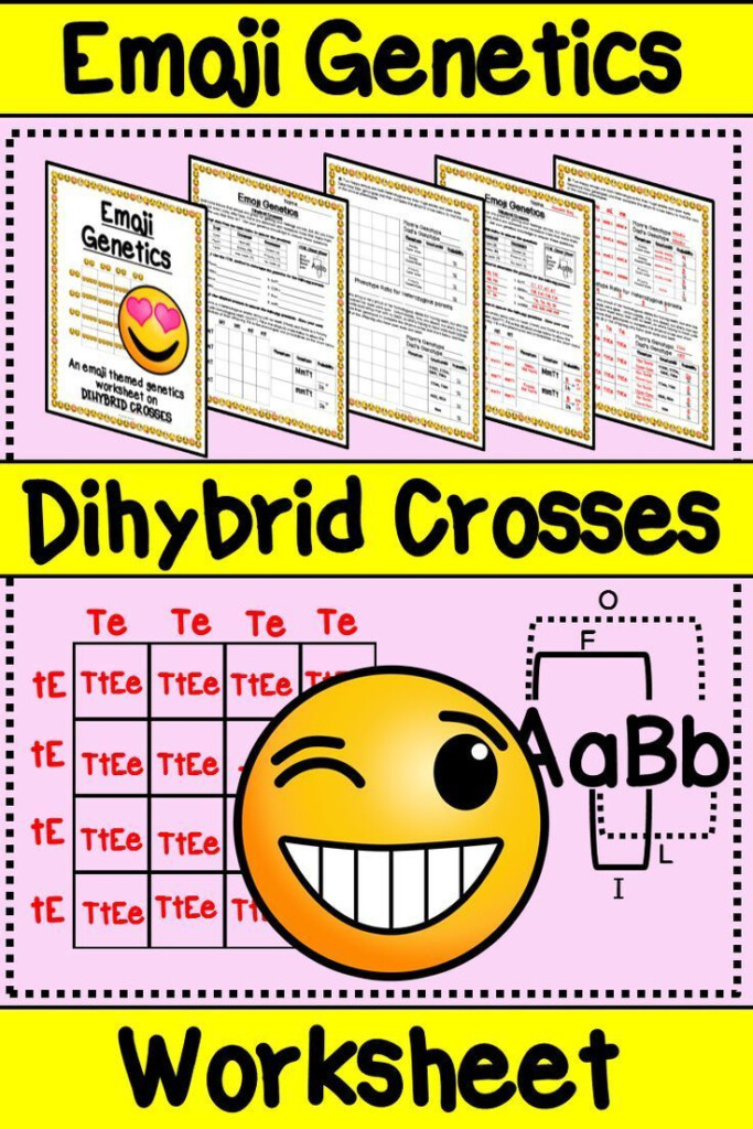 Biology Dihybrid Cross Worksheet Worksheet
