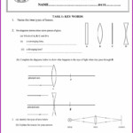 Biology Science Skills Worksheet Answer Key Worksheet Resume