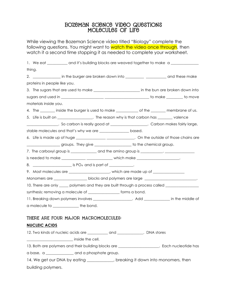 Bozeman Science Biological Molecules Worksheet Answers Worksheet List