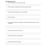 Bozeman Science Cell Membranes Short Video Worksheet