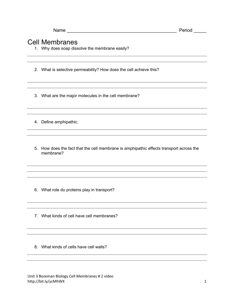 Bozeman Science Cell Membranes Short Video Worksheet