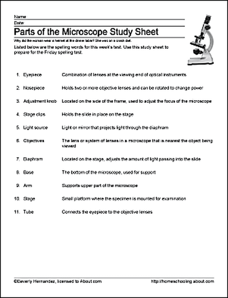 Careers In Forensic Science Worksheet Matching Answers Kind Worksheets
