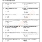 CBSE Class 2 Science Sample Paper On Plants Worksheet 18 Science