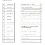 CBSE Class 3 Science Pdf Worksheets Human Body Set 01 Science