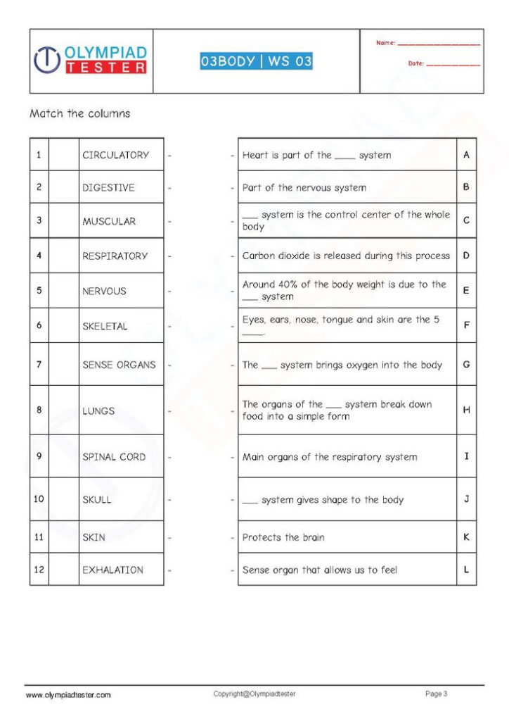 CBSE Class 3 Science Pdf Worksheets Human Body Set 01 Science 