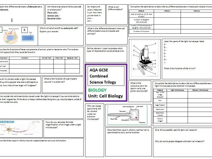 Cell Biology Revision Sheet For AQA GCSE Combined Science Trilogy 