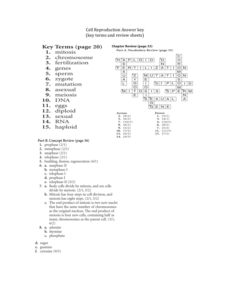 Cell Reproduction Answer Key