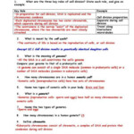 Cell Reproduction Worksheet Answers As Well As Worksheets 42 Re