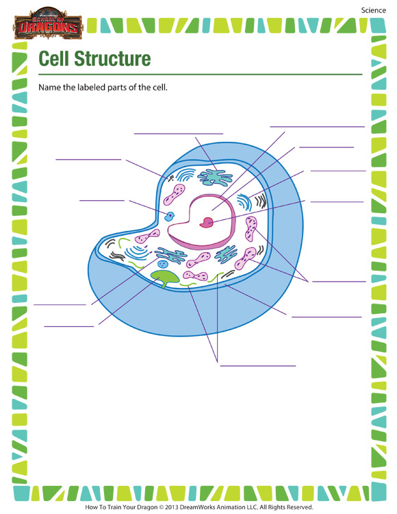 Cell Structure Free Cell Worksheet For 7th Grade Kids