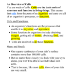 Cell Theory Timeline And Worksheet Answer Key Ivuyteq
